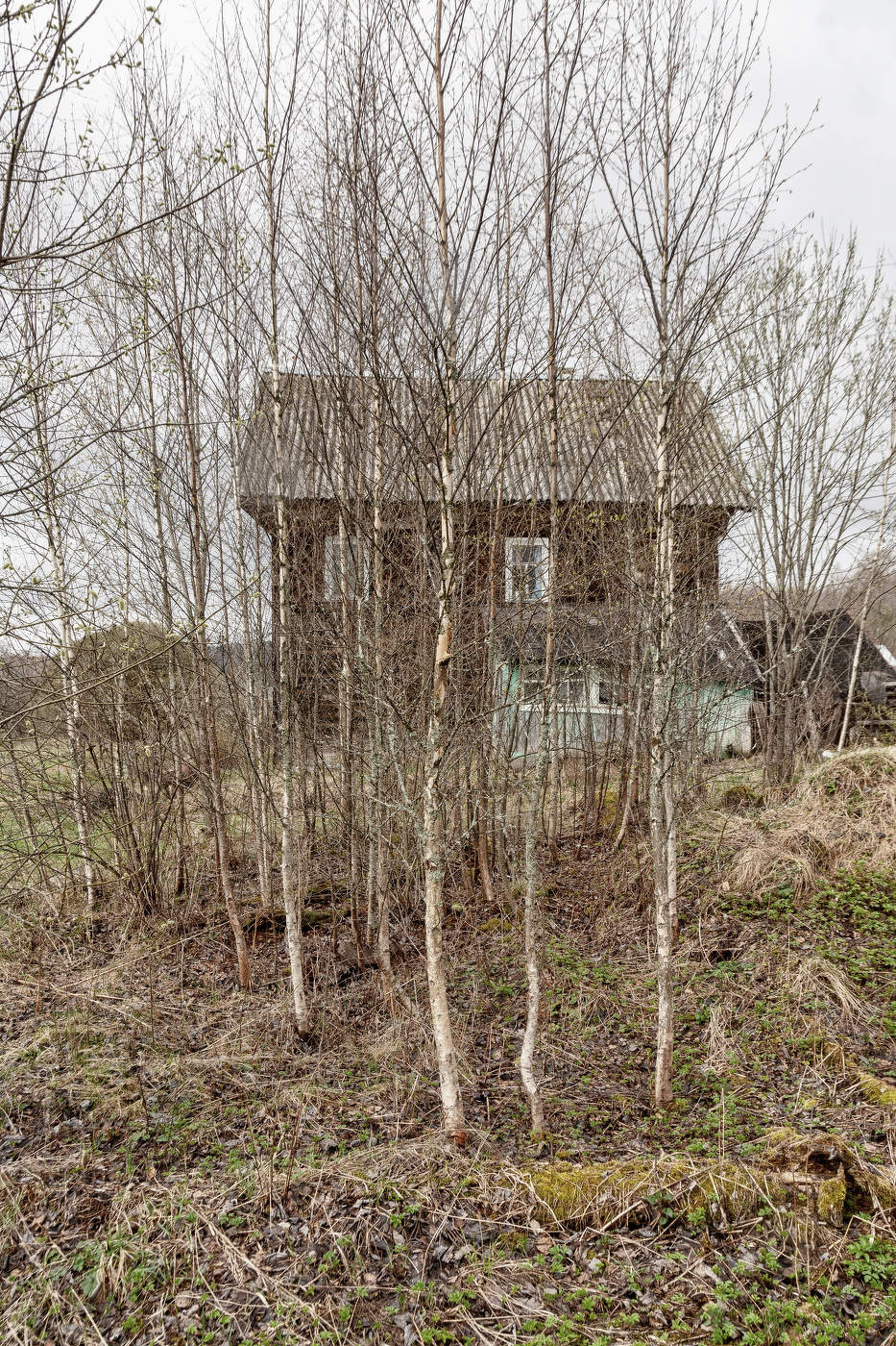 Жизнь вокруг