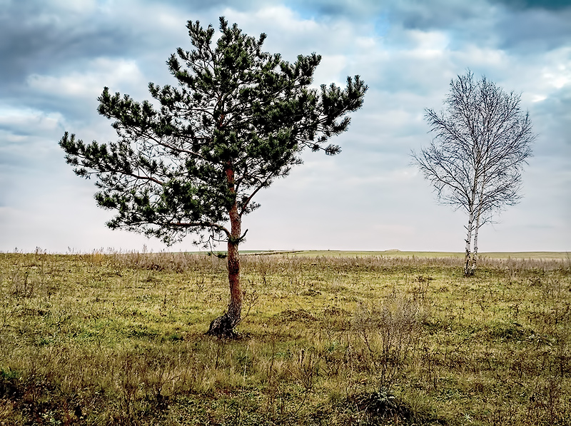 Третий лишний.