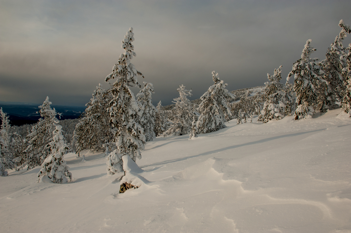 Снежная гора Аргыджек.