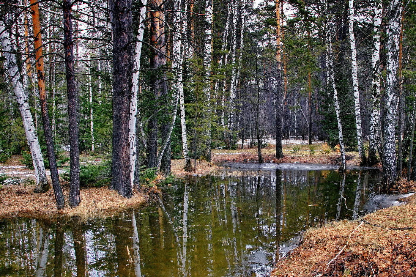 *Весенний лес.**