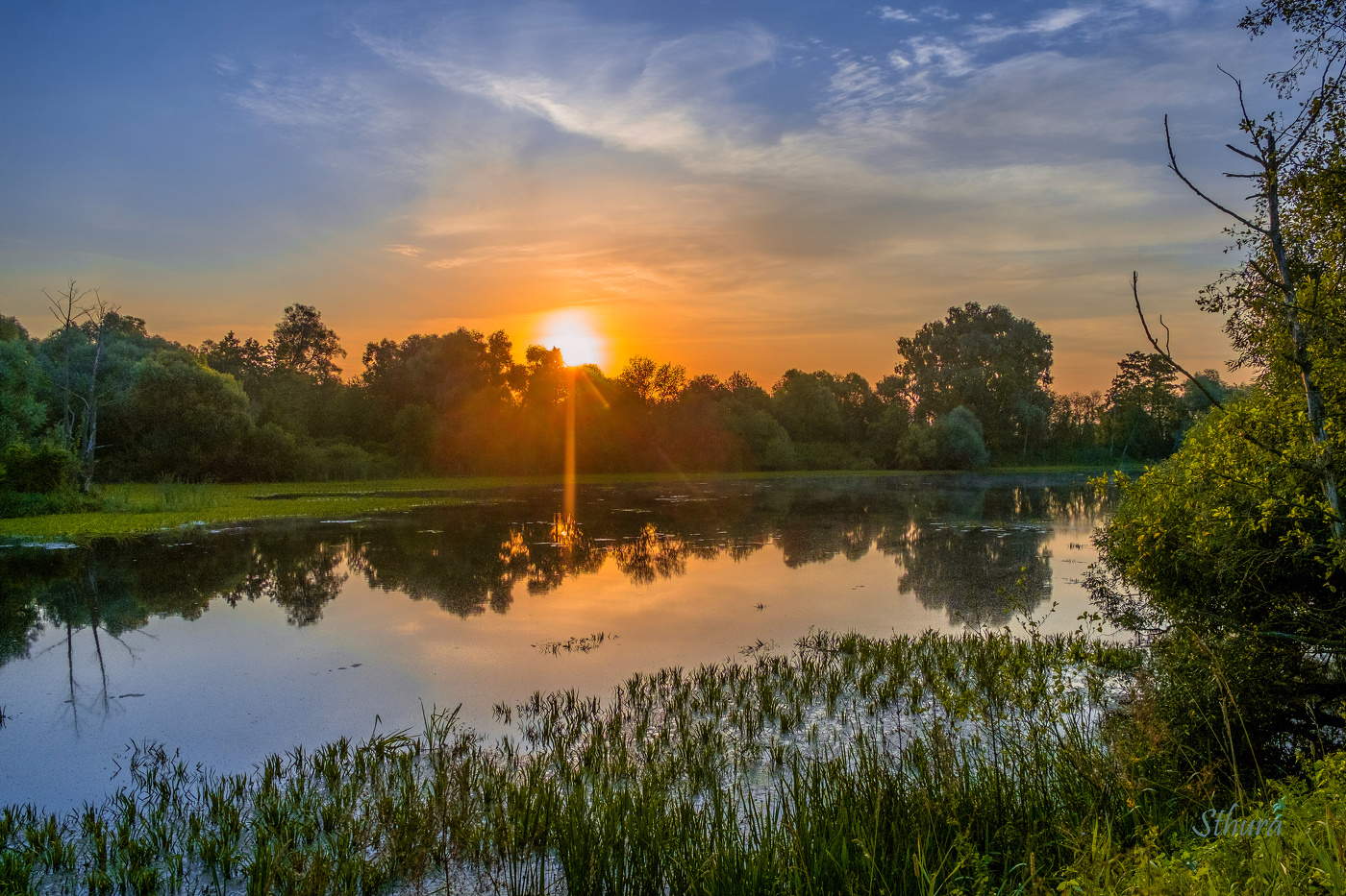 Летний рассвет.