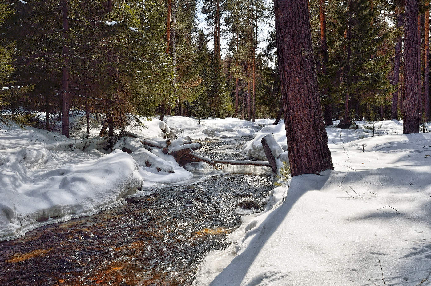 Весенние мотивы
