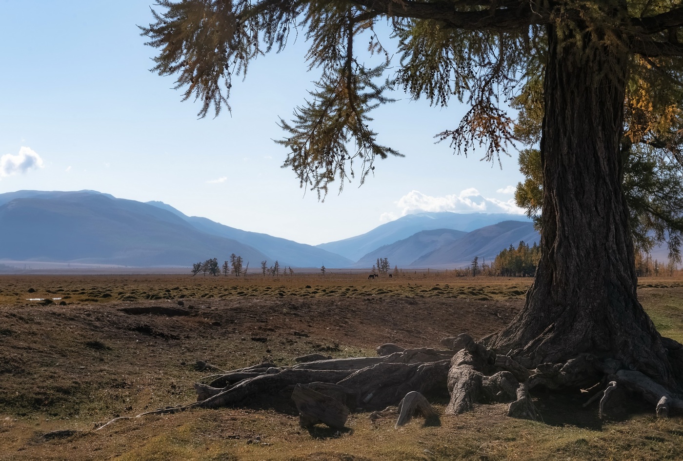 Жизнь в Курае