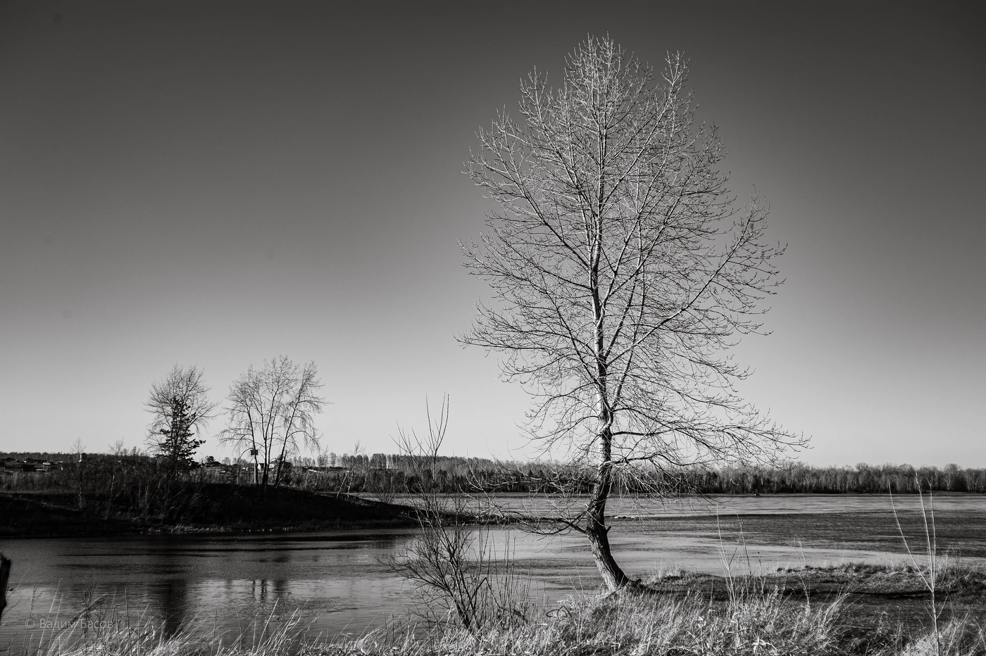 Пейзаж в серых тонах.