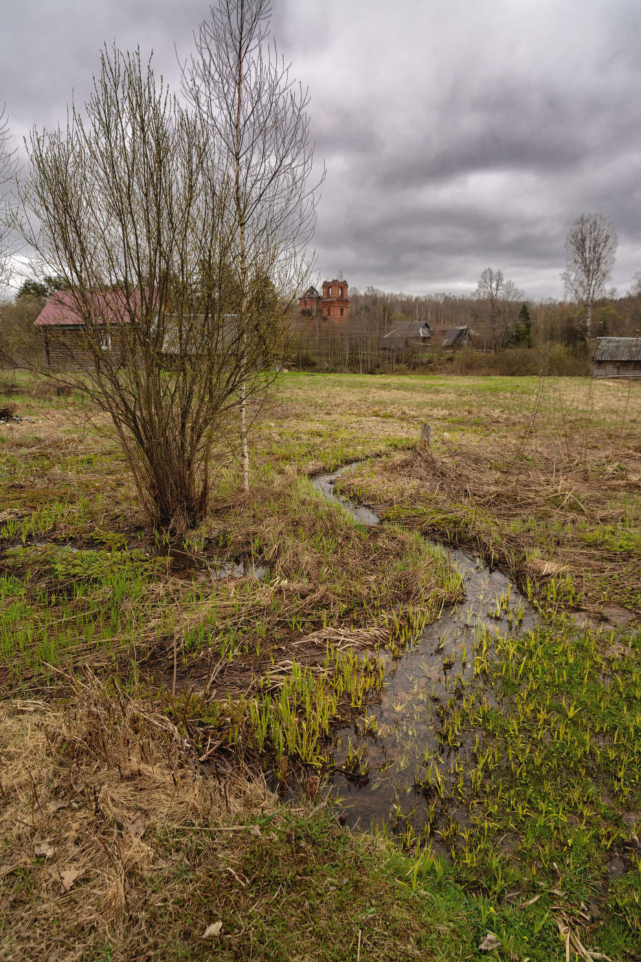 Жизнь вокруг