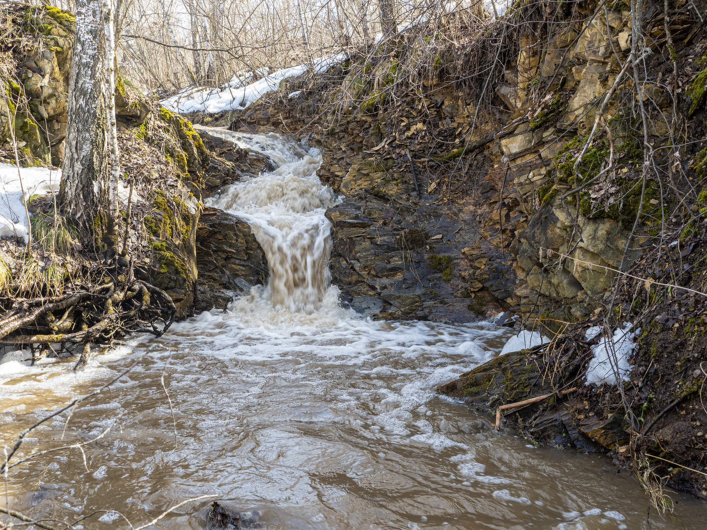 Вешние воды