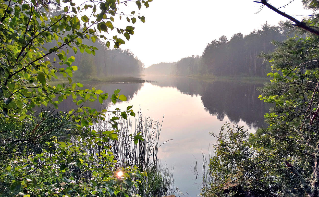 После дождя к вечеру затуманило