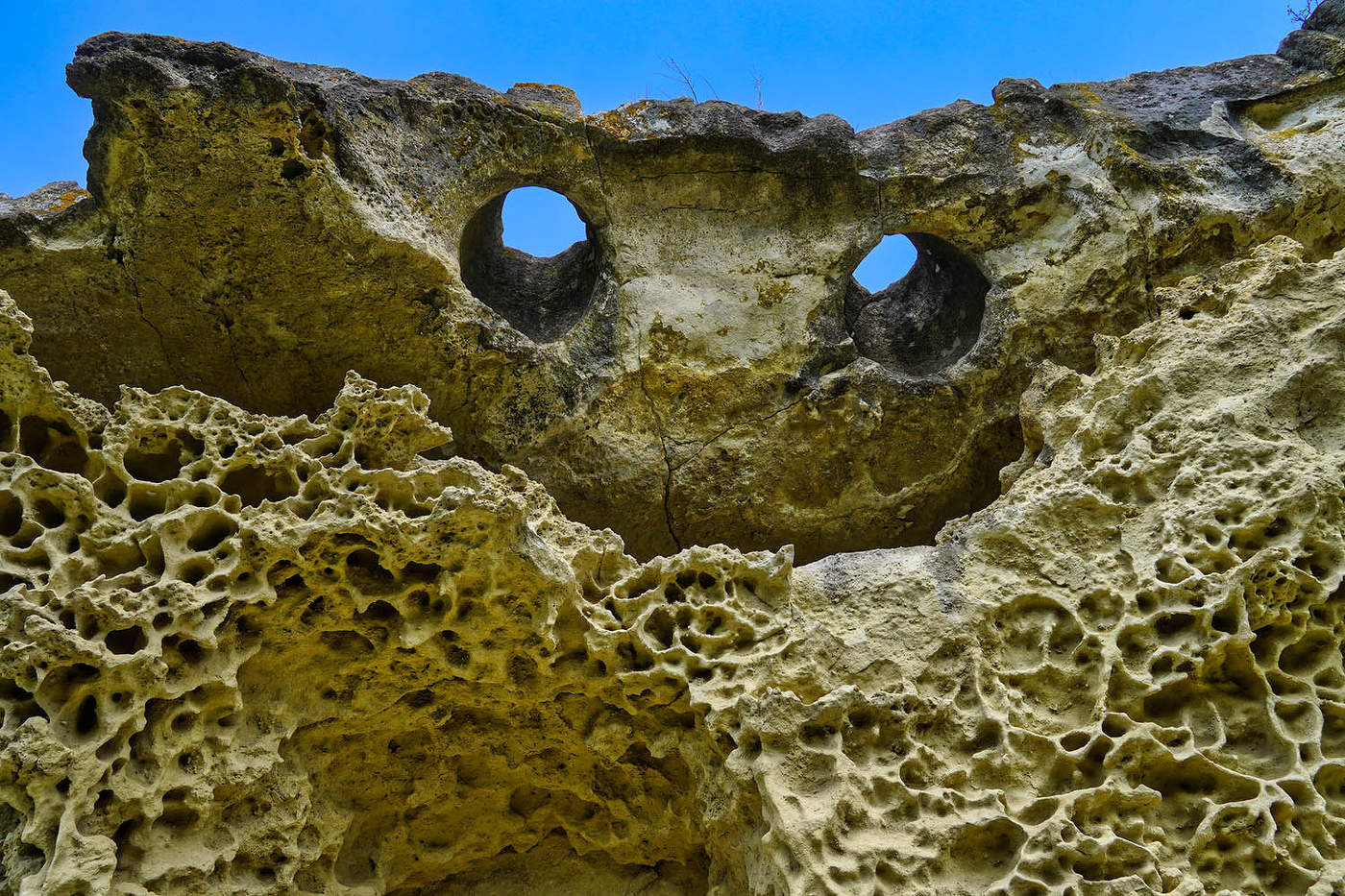 "Эти глаза напротив"