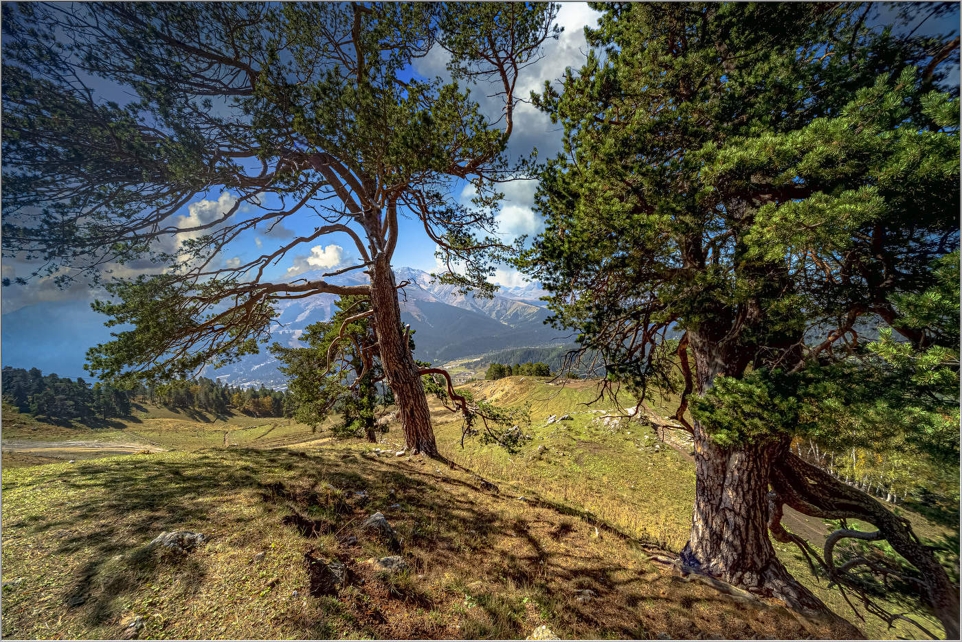 Покорители горных вершин