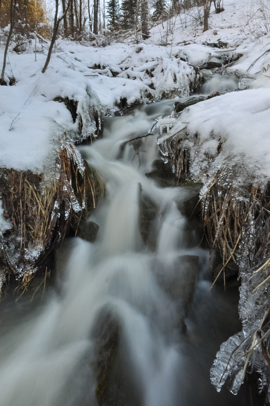 Лесной ручей весной