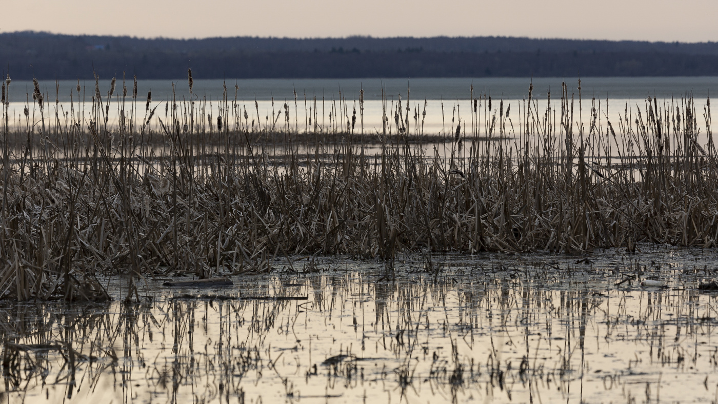 Плещеево озеро