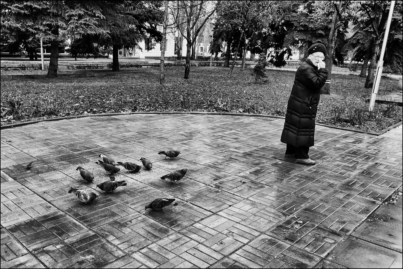 портрет накормилицы с питомцами