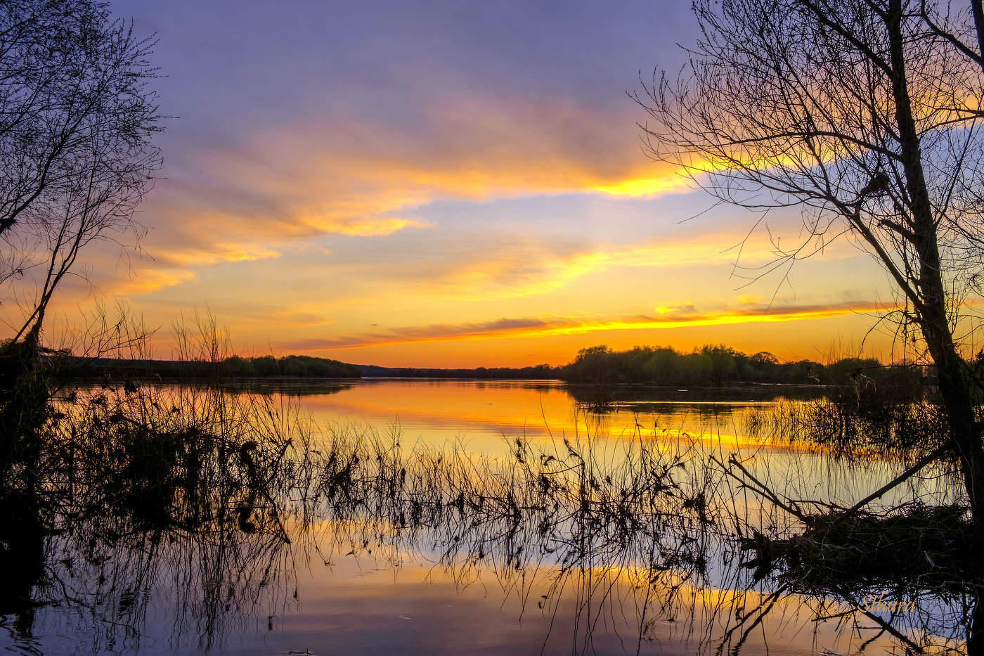 Весенний вечер.