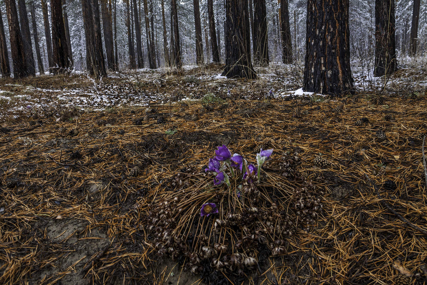 Такой апрель