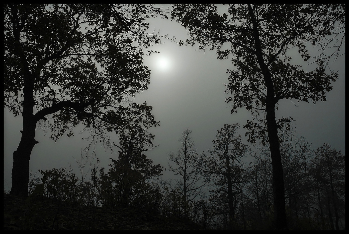 Утро туманное