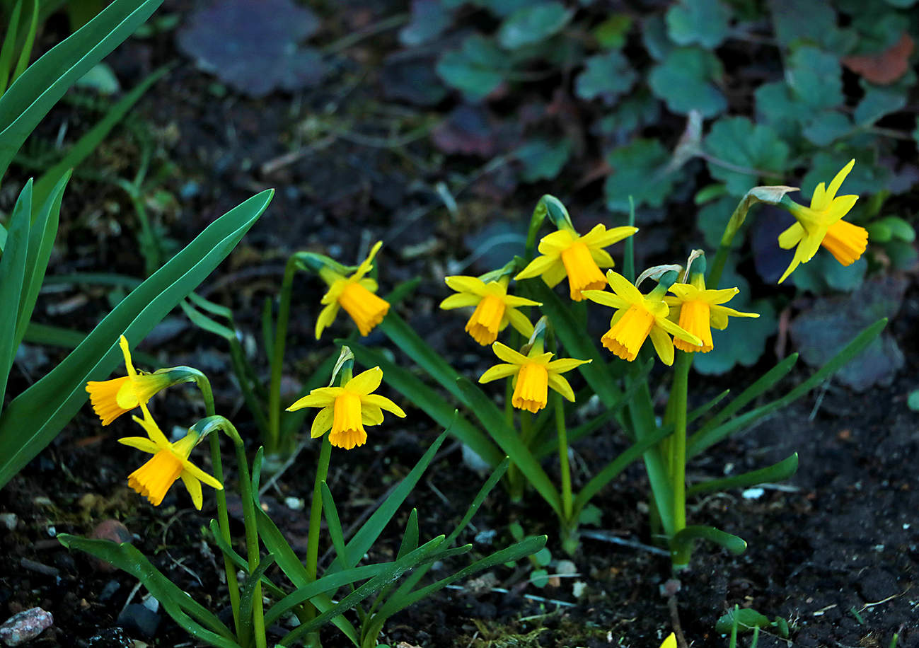 В шеренгу становись!