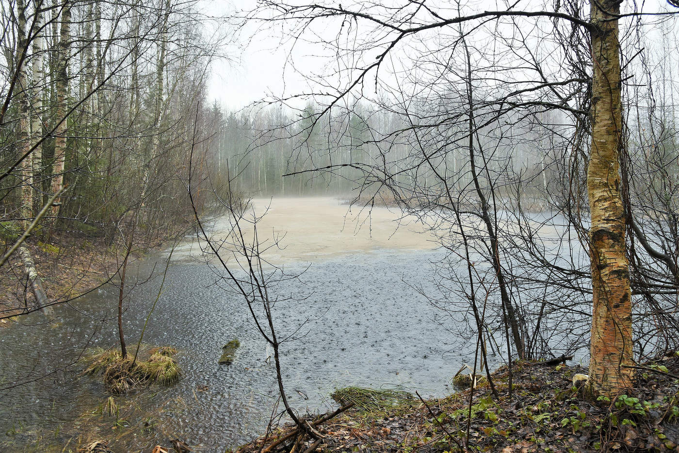 "Стекает каплями дождливый блюз в земной бокал ..."