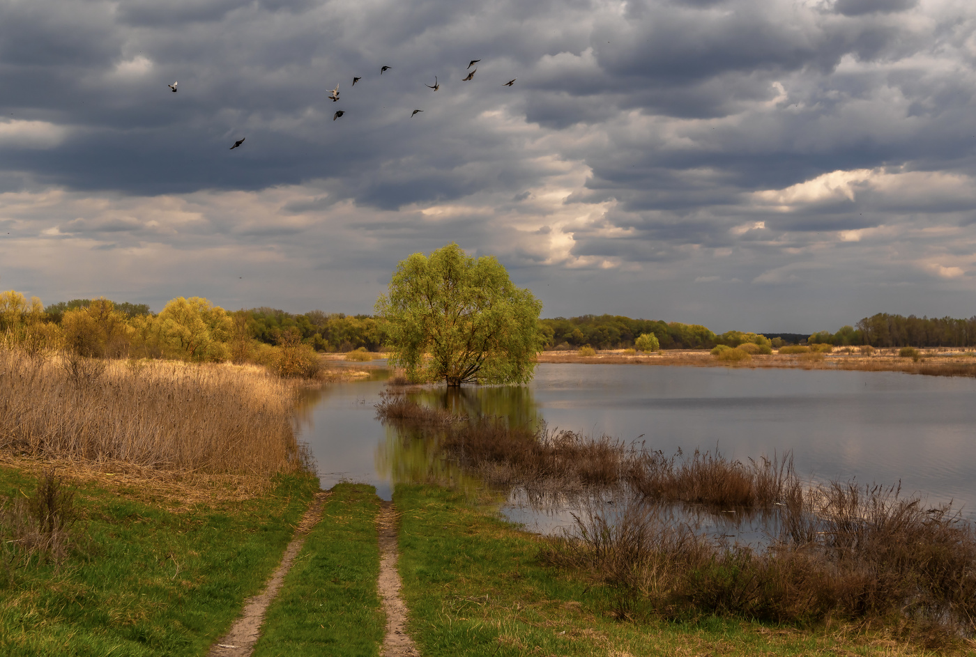 Над весной.
