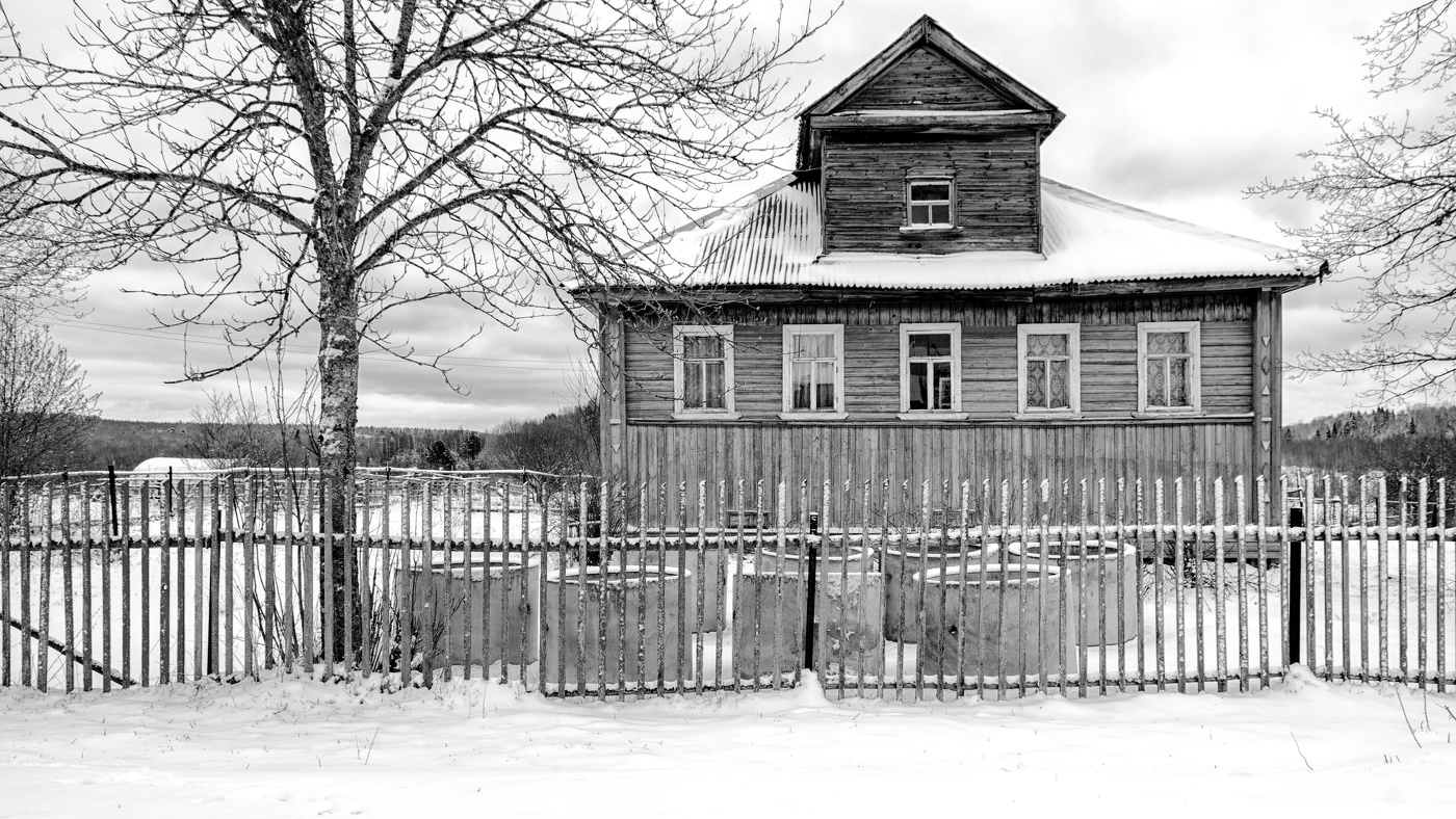 Жизнь вокруг