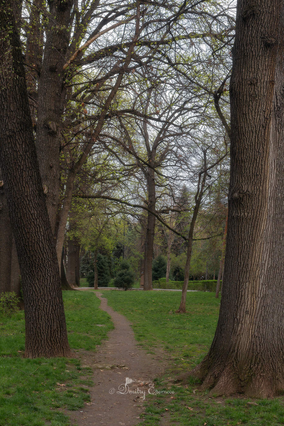 Весна - начало жизни...