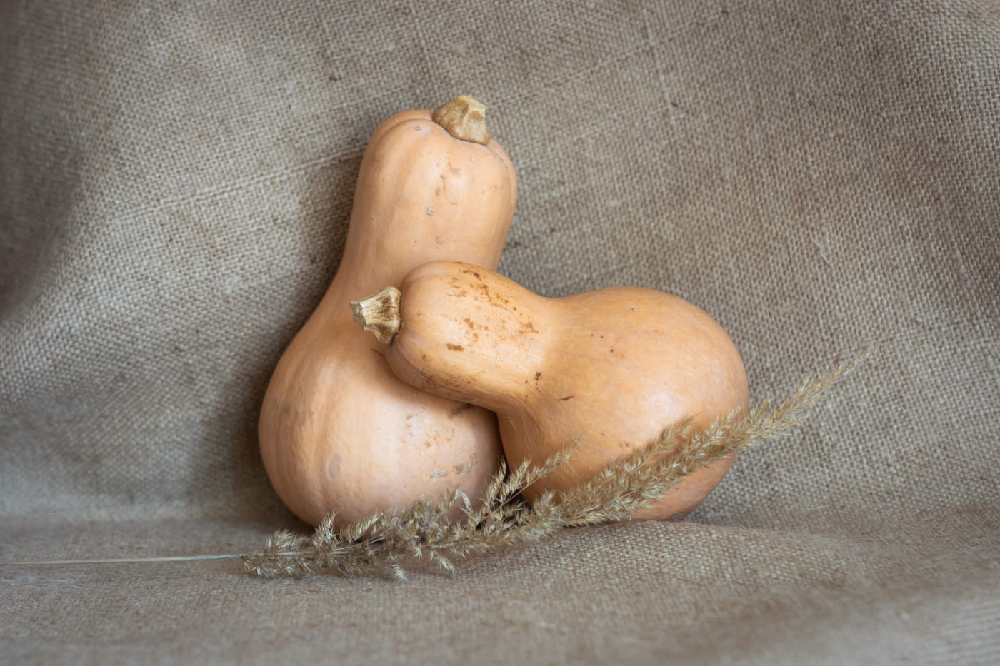 Мотивы весеннего света...