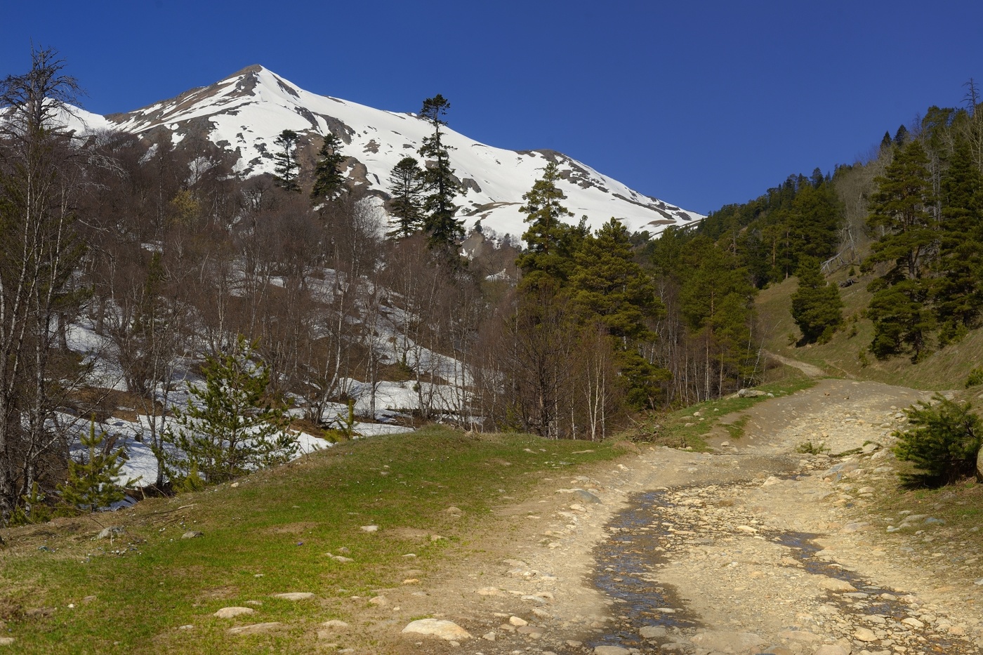 Весна в горах