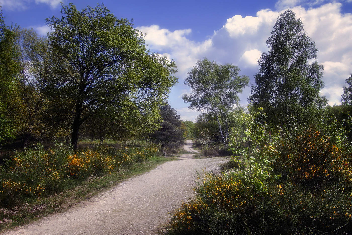 Идем дорогой дальною..