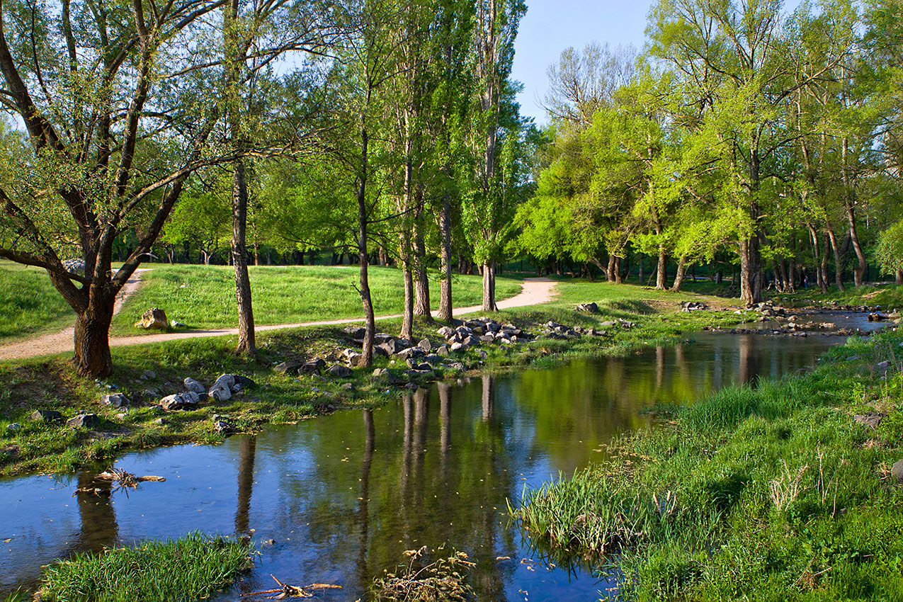 Весенняя поляна