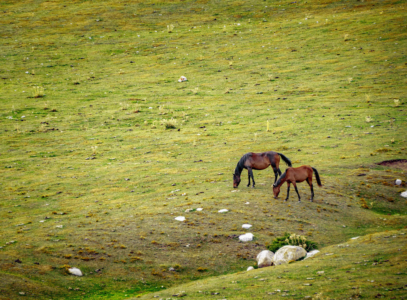 Незамысловатый пейзаж