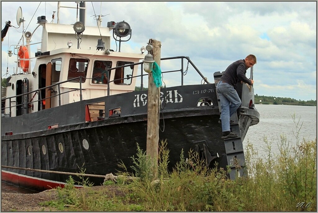 почти что лебедь....