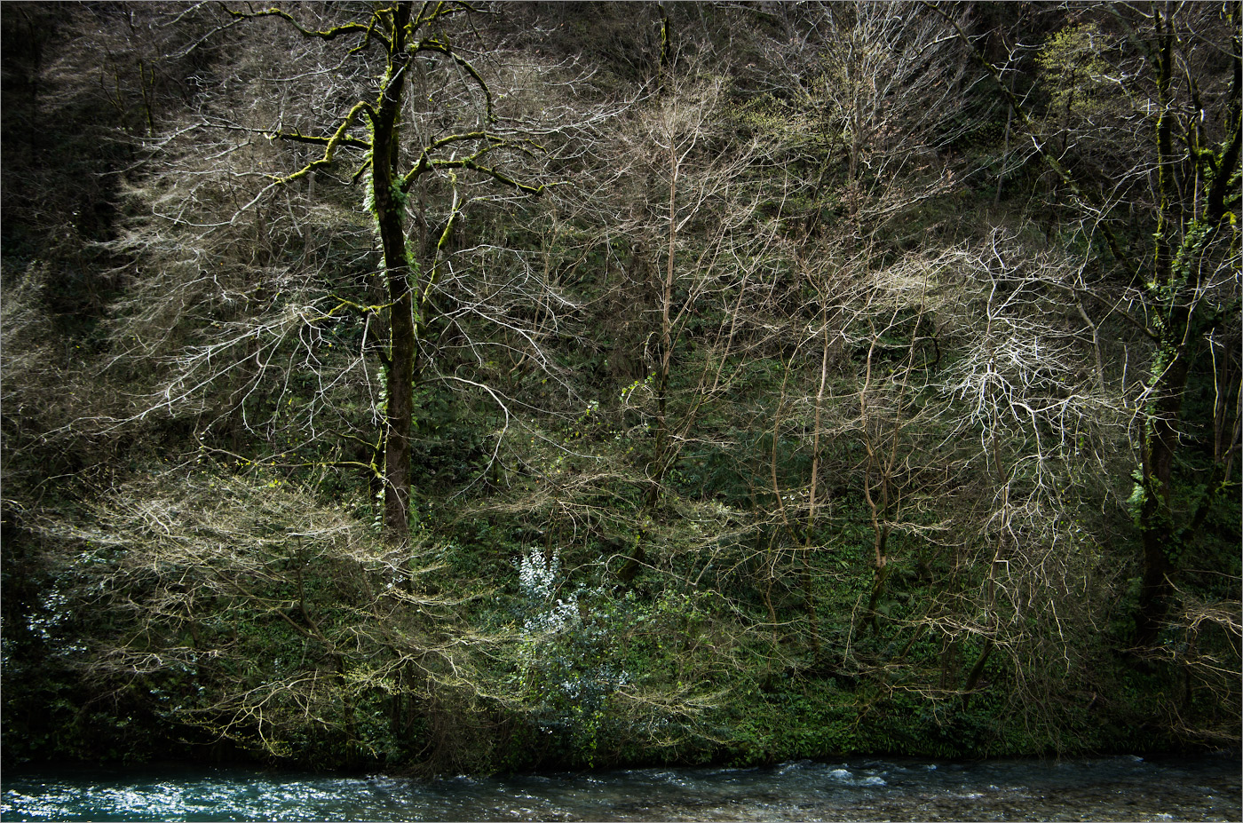 сосудистые