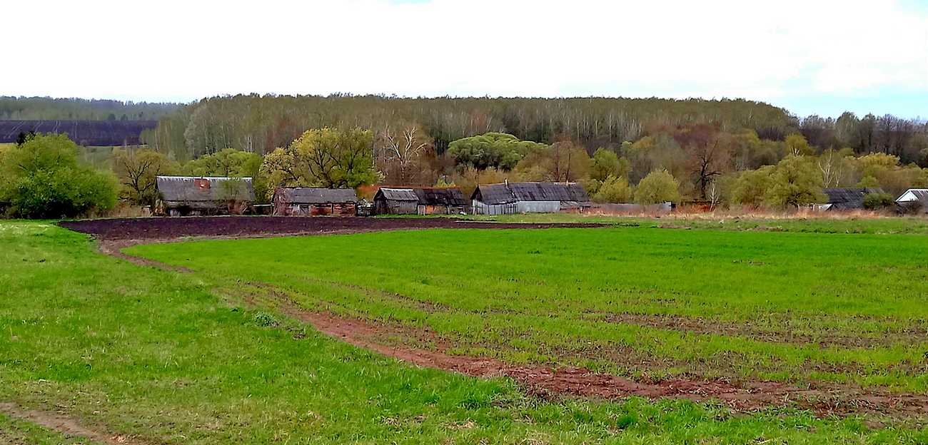 Апрельская деревенская зарисовка