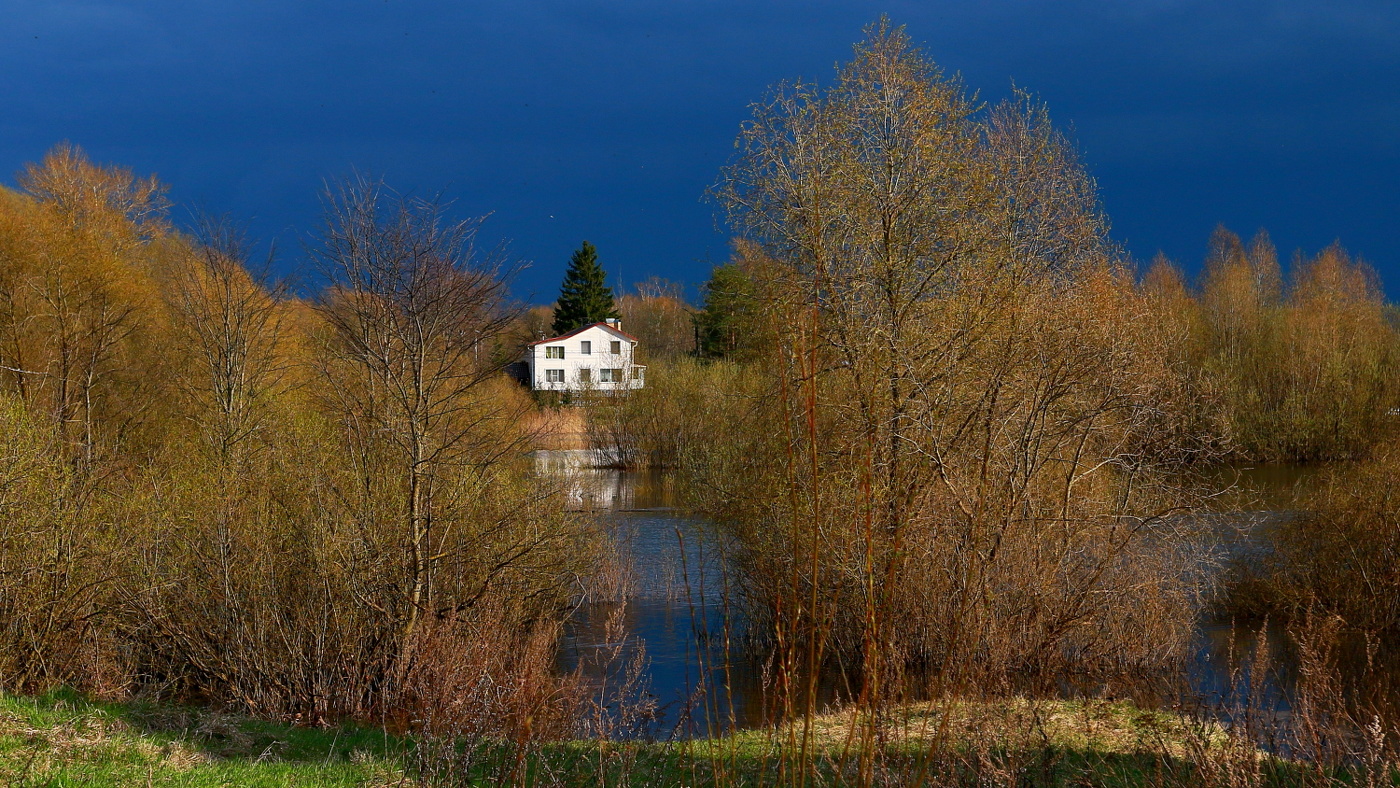 Весенний мотив.