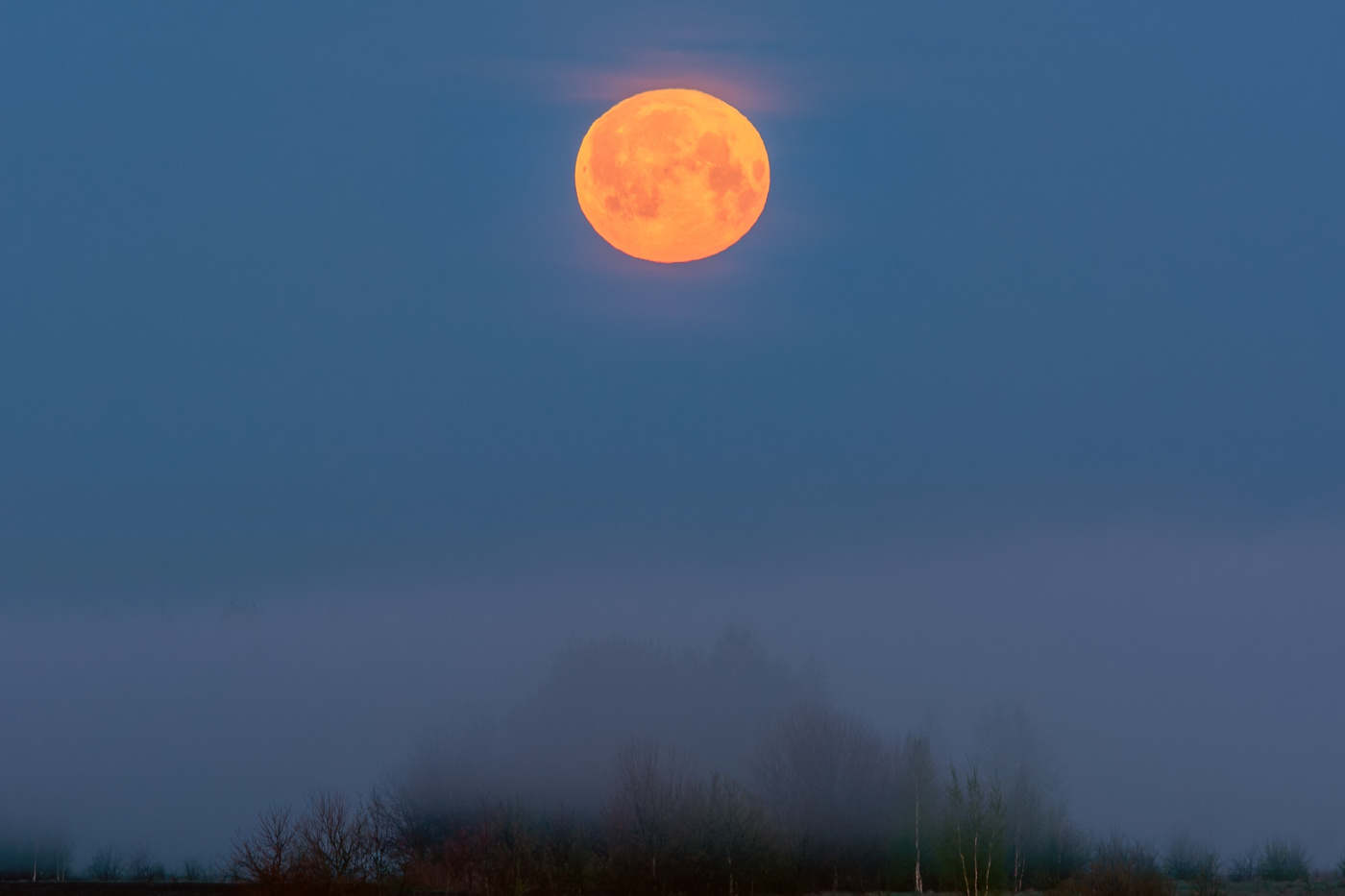 ранним утром