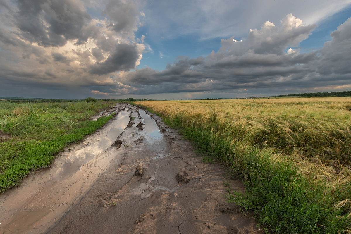 Поворачивай к черту