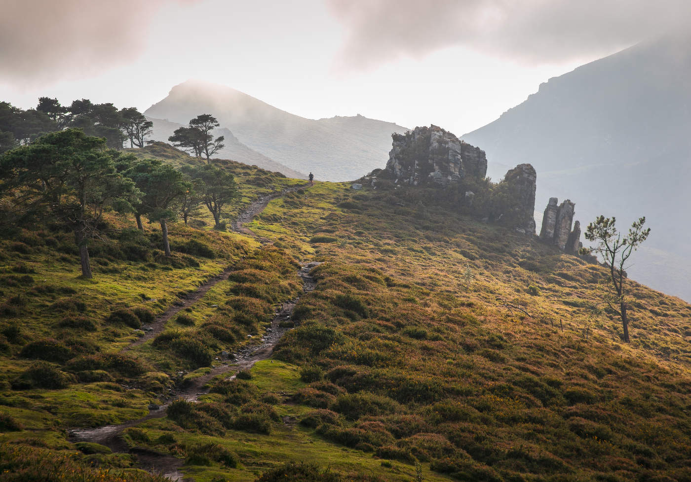 Горная тропа