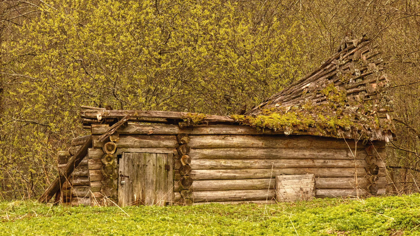 Жизнь вокруг