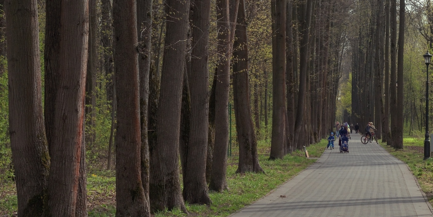 Весна в Ботаническом саду
