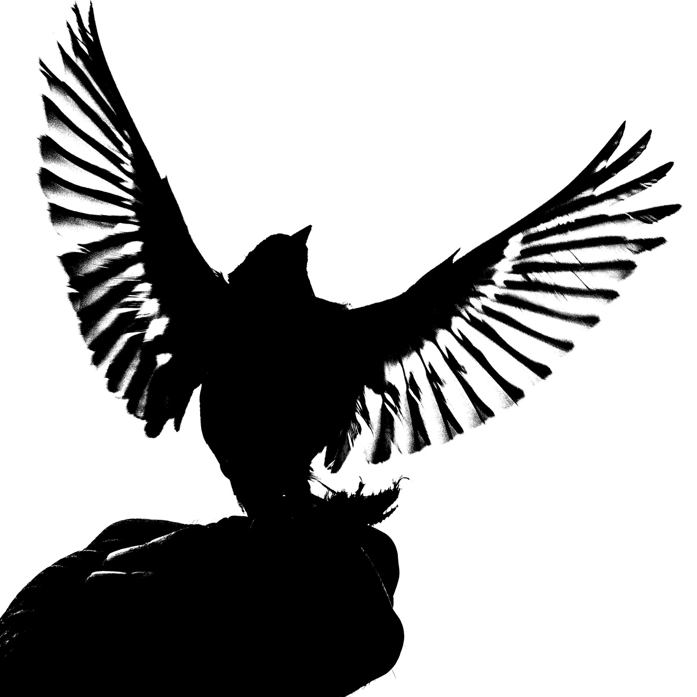 Жизнь вокруг