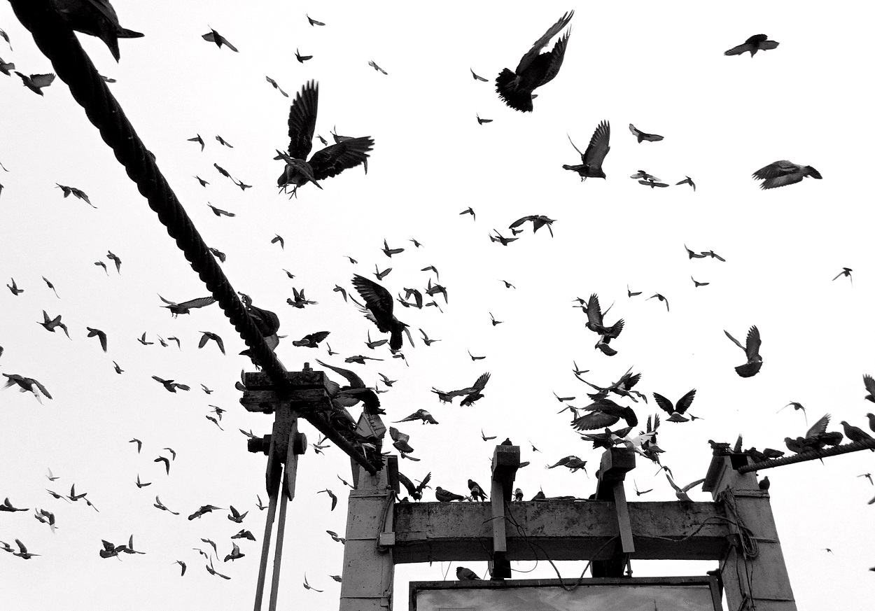 Что то случилось