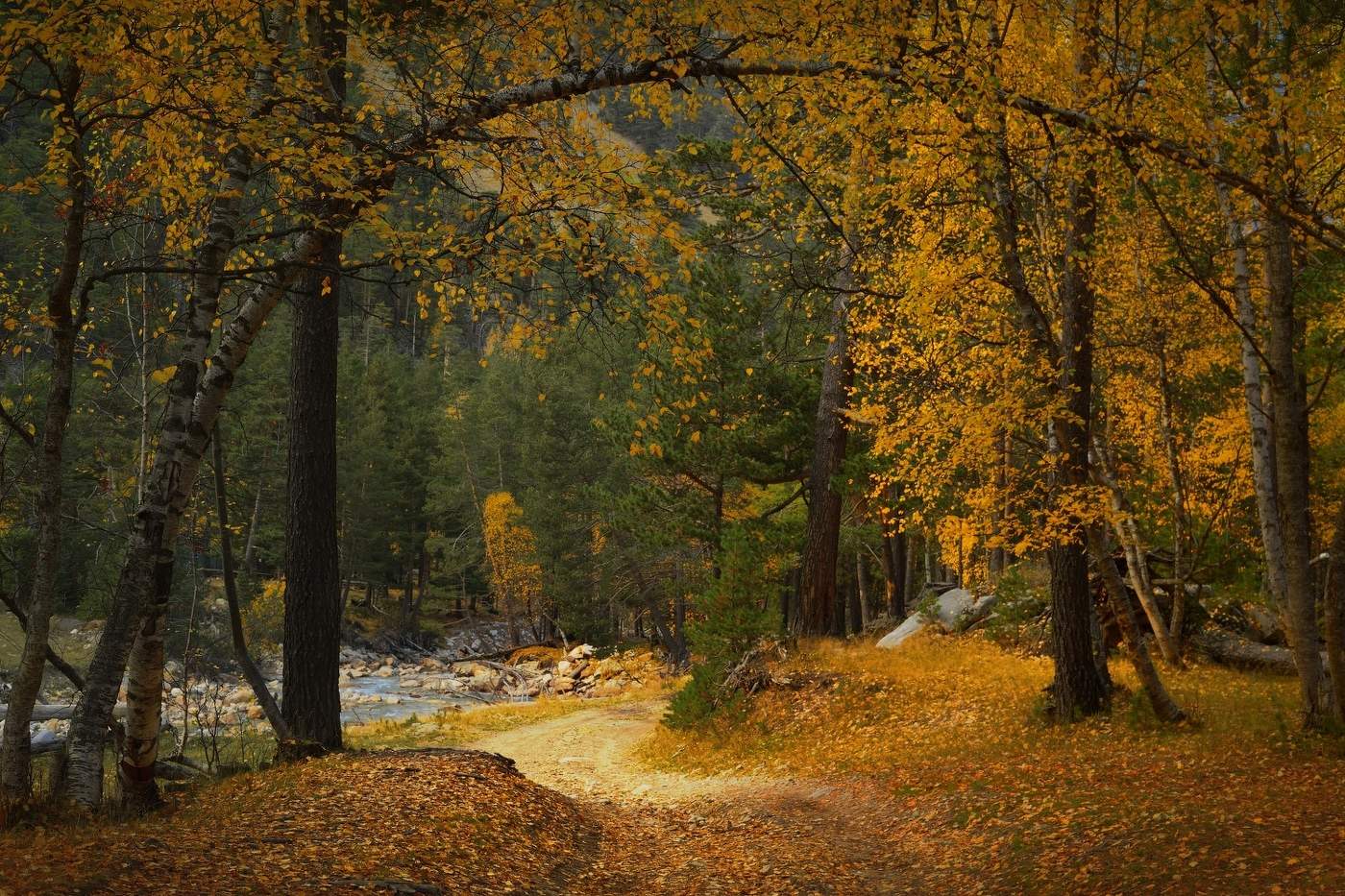 Прошедшая осень