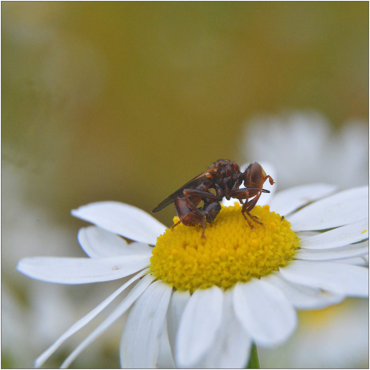 Одиночество.