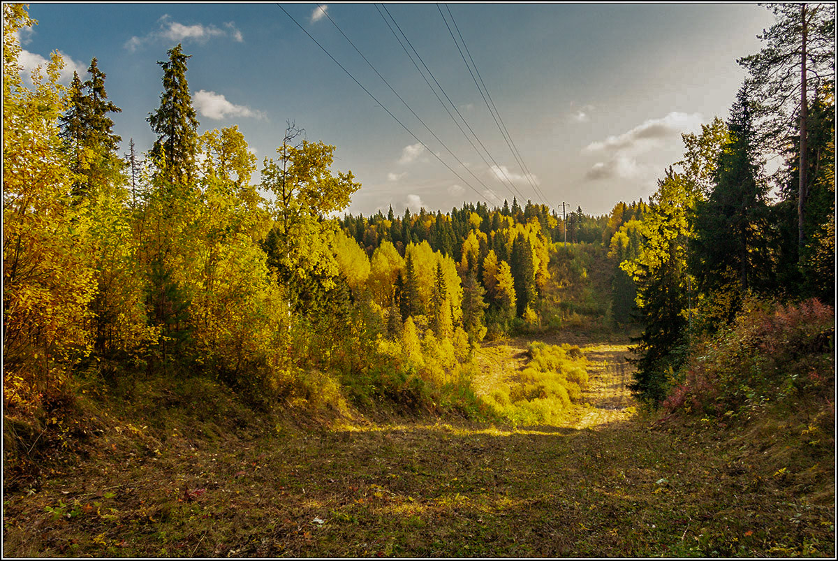 По дорогам сентября.