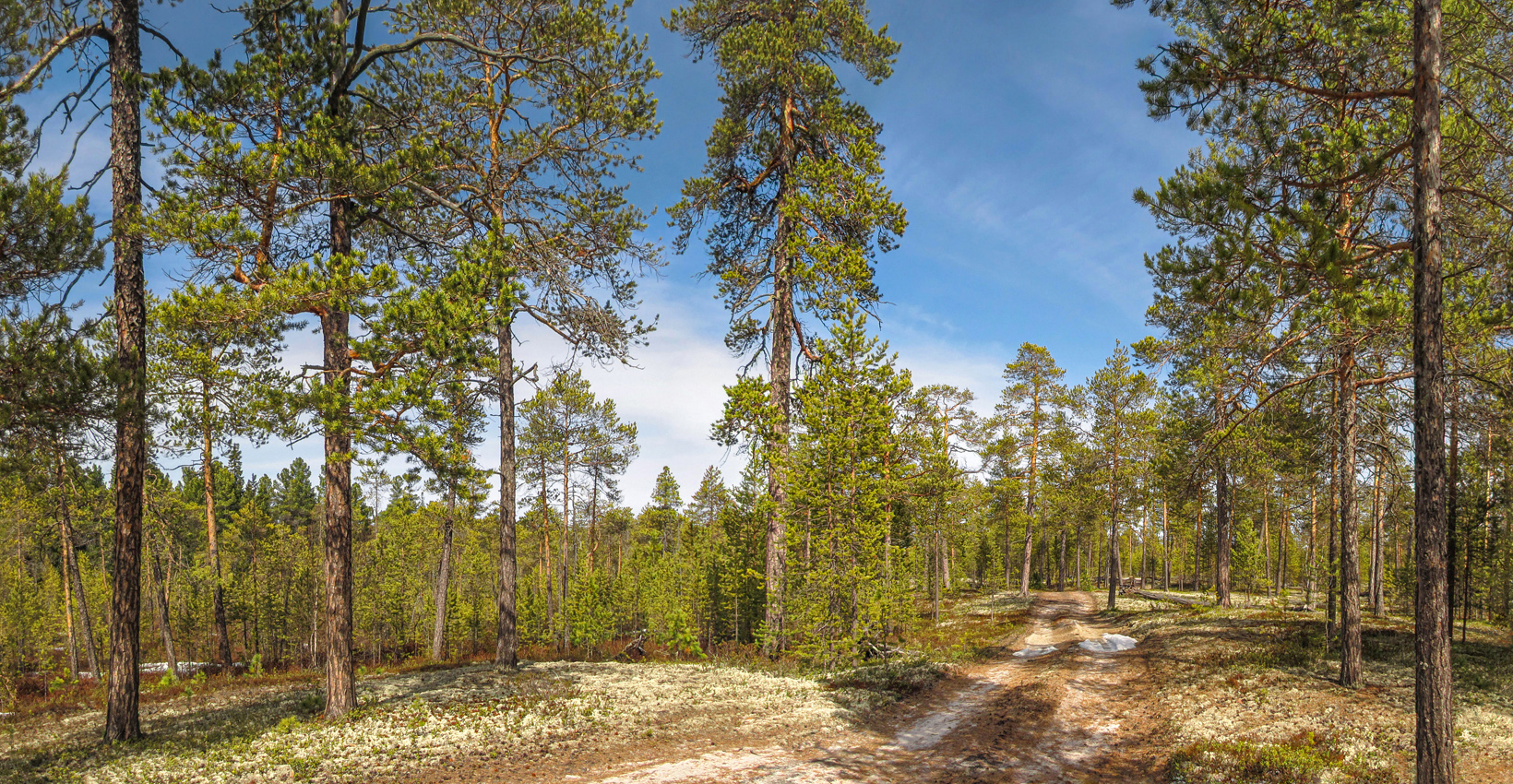 Остатки снега пятнами белеют...
