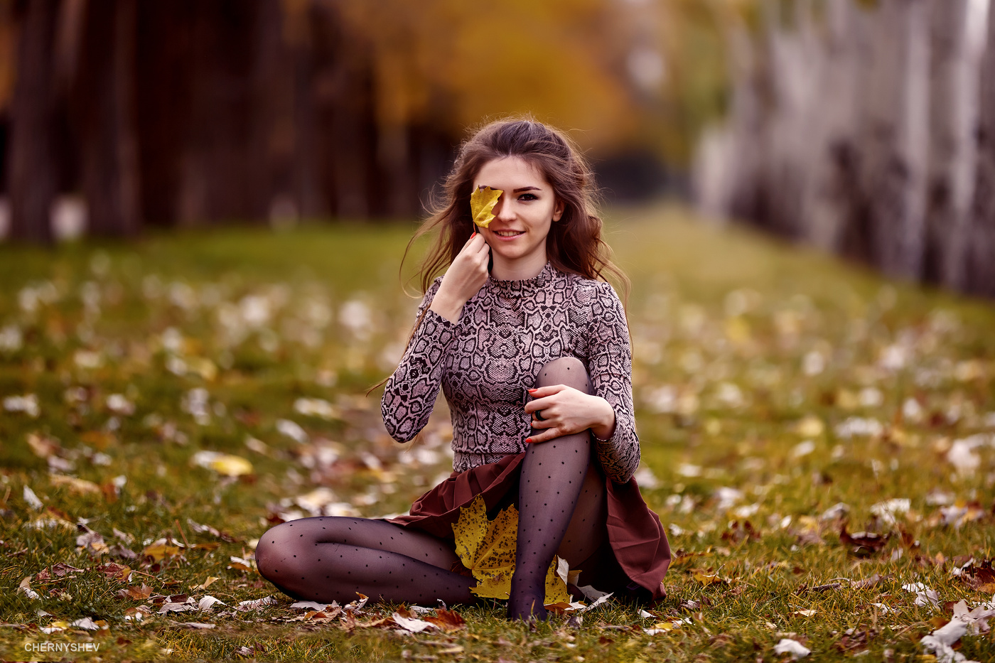 из альбома "логика листьев".