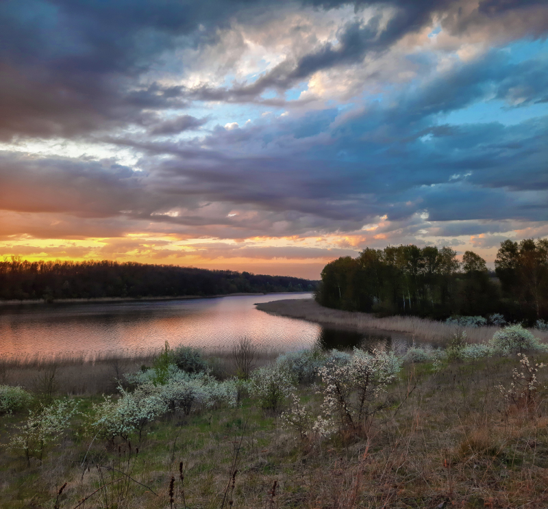 "Цвiте терен"