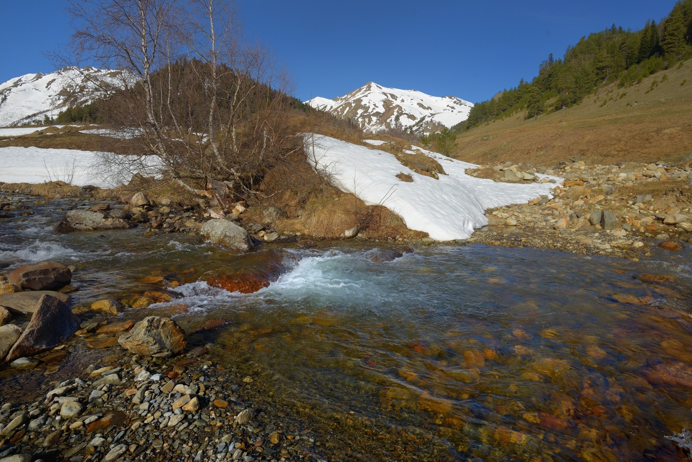 Весенний поток