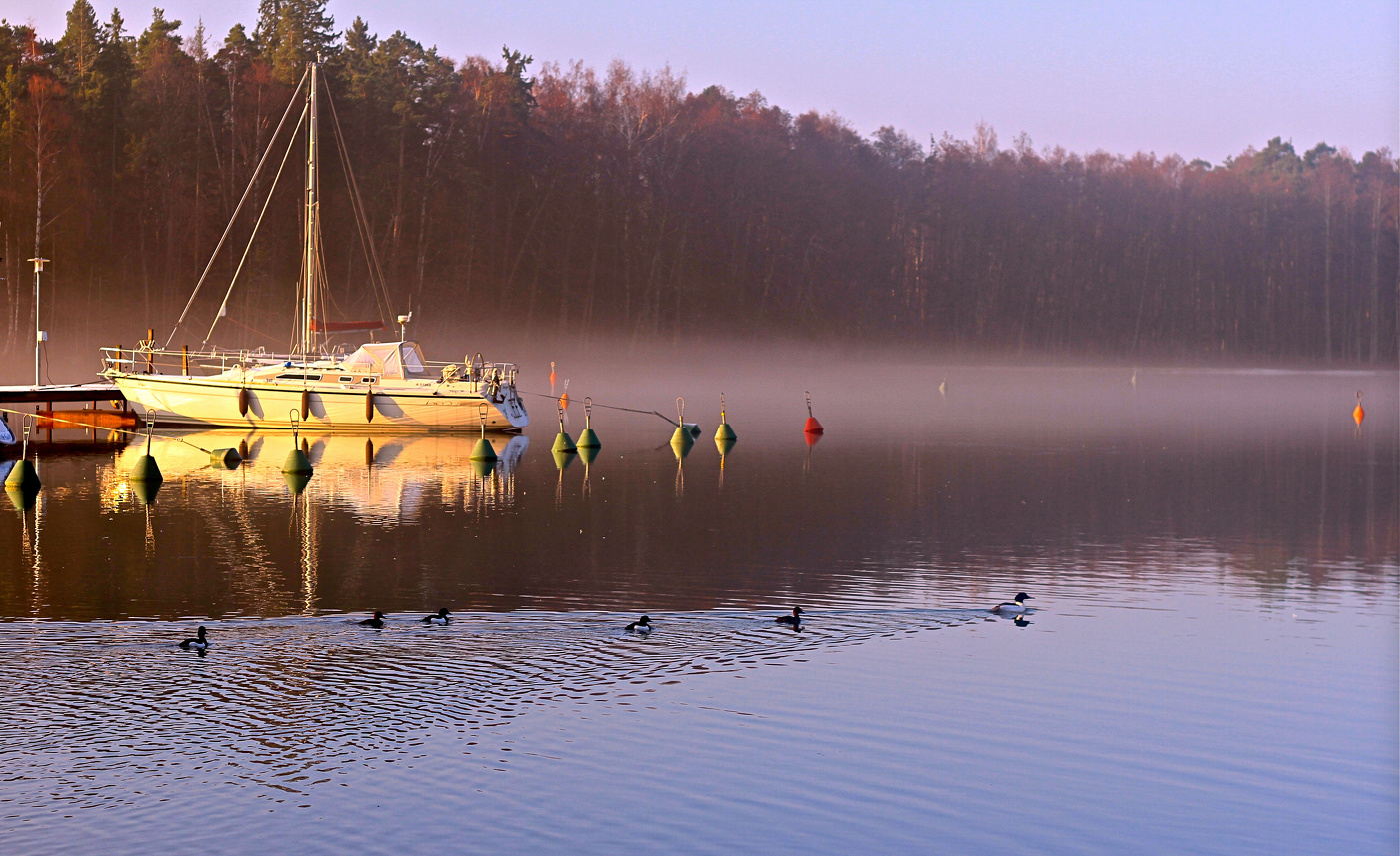 Прилетели...