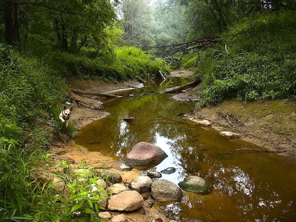 Речка Язвинка