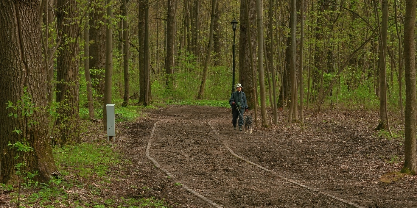 Весна в Ботаническом саду